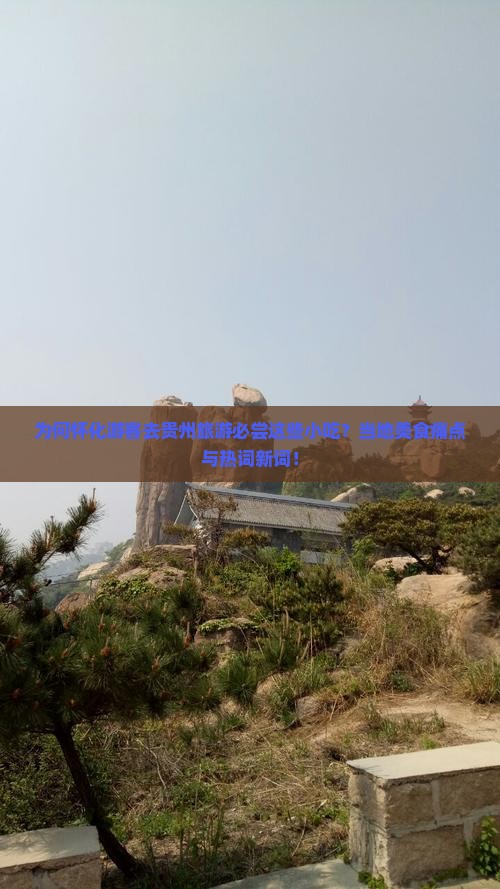 为何怀化游客去贵州旅游必尝这些小吃？当地美食痛点与热词新词！