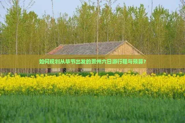 如何规划从毕节出发的贵州六日游行程与预算？