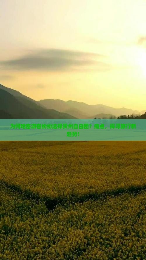 为何哈密游客纷纷选择贵州自由团？痛点，探寻旅行新趋势！