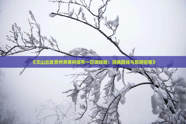 《文山出发贵州黄果树瀑布一日游攻略：经典路线与旅游指南》