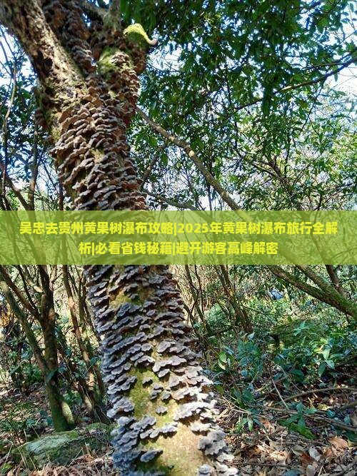 吴忠去贵州黄果树瀑布攻略