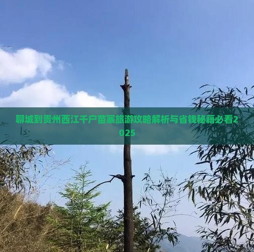 聊城到贵州西江千户苗寨旅行社