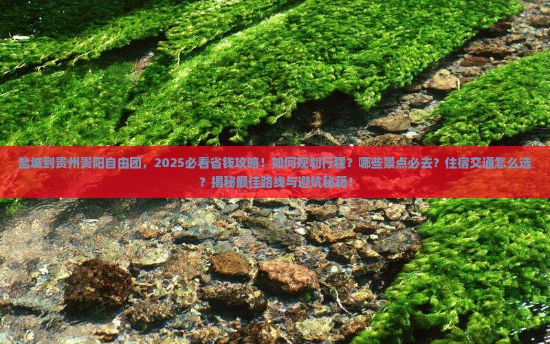 盐城到贵州贵阳自由团