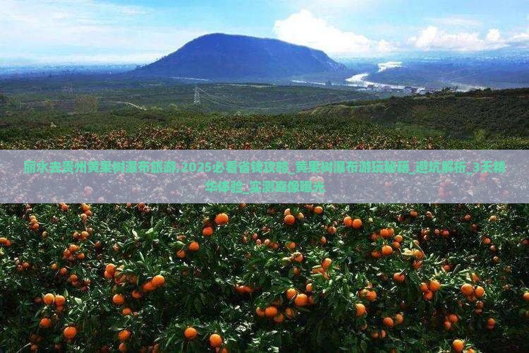 丽水去贵州黄果树瀑布旅游