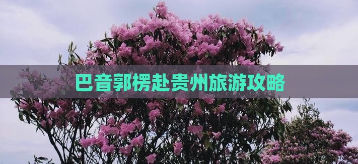 巴音郭楞去贵州贵阳团体旅游