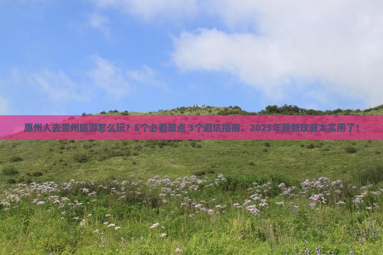 惠州去贵州旅行社