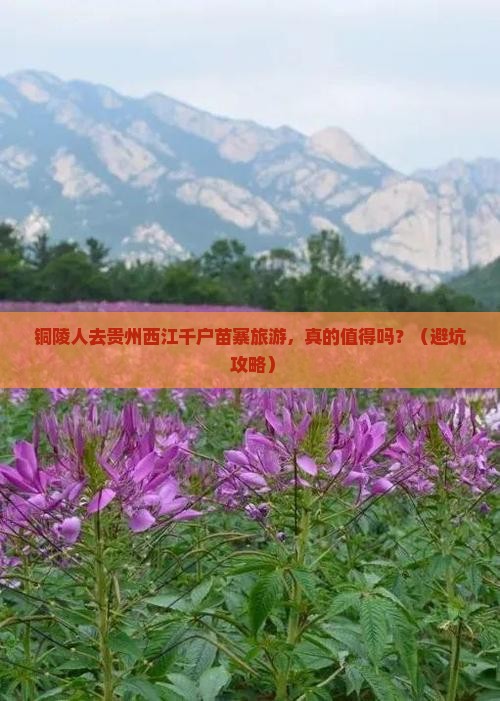 铜陵去贵州西江千户苗寨旅游