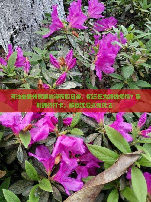 河池去贵州黄果树瀑布四日游