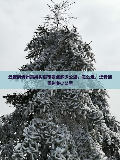 迁安到贵州黄果树瀑布景点