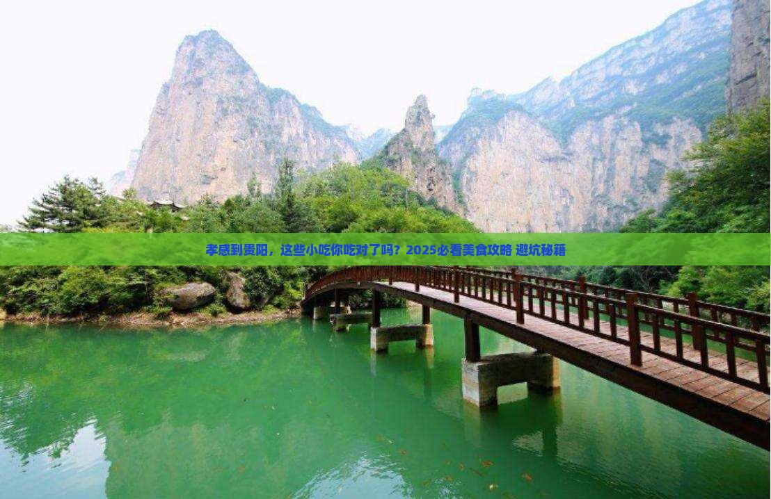 孝感到贵州贵阳旅游小吃