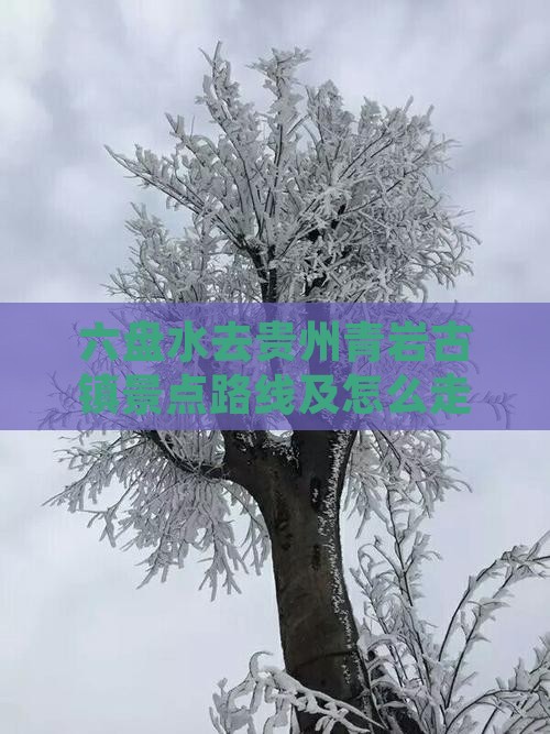 六盘水去贵州青岩古镇景点