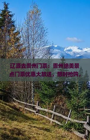辽源去贵州门票