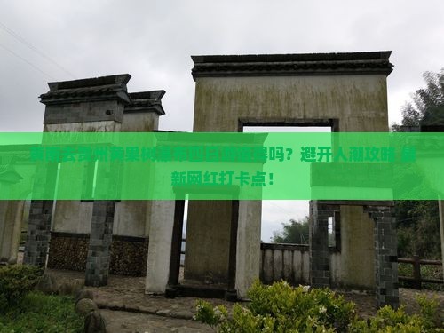 黄南去贵州黄果树瀑布四日游
