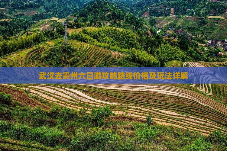 武汉去贵州六日游