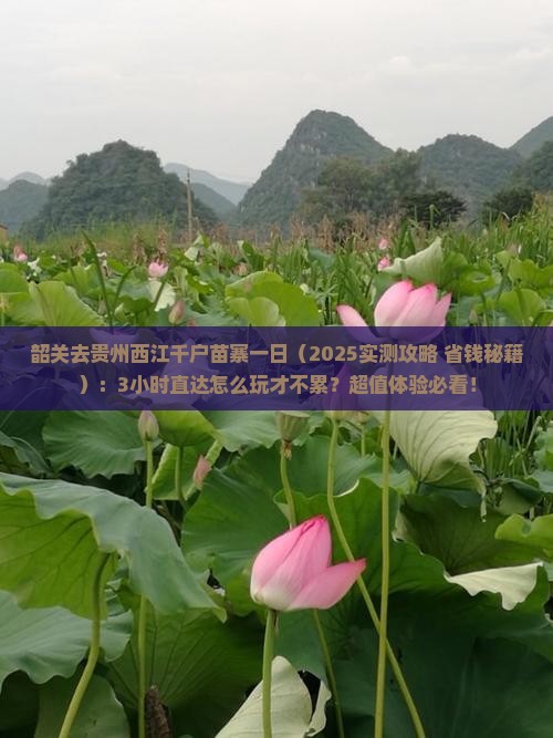 韶关去贵州西江千户苗寨一日