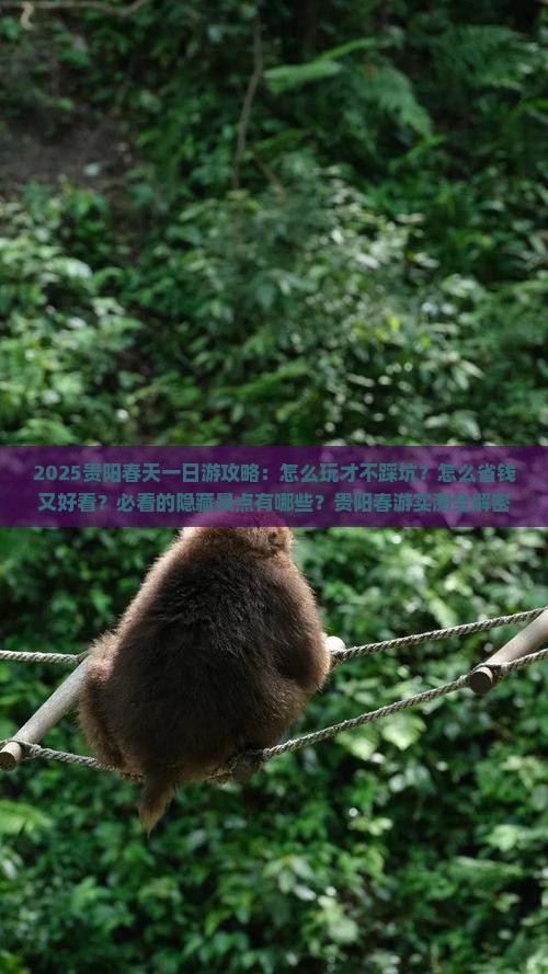 春天去贵州贵阳一日