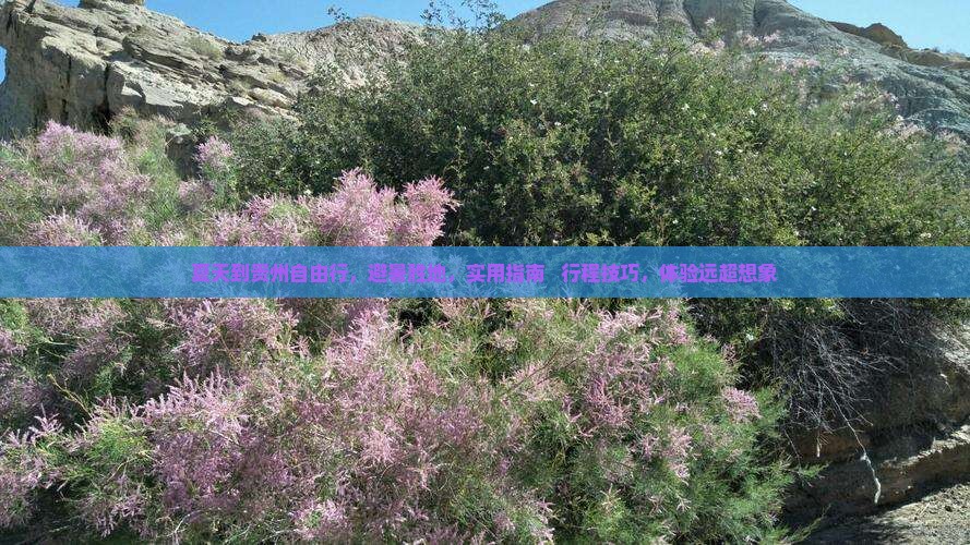 夏天到贵州自由行