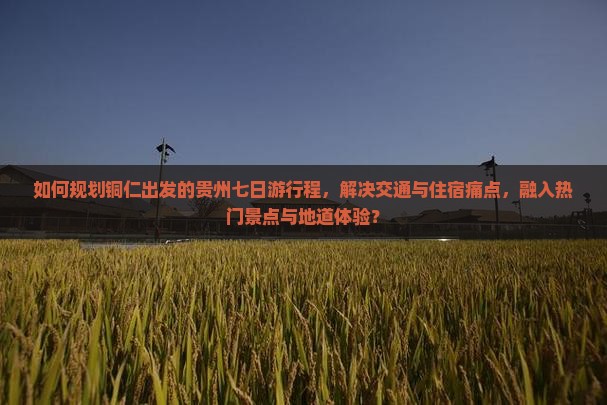 如何规划铜仁出发的贵州七日游行程，解决交通与住宿痛点，融入热门景点与地道体验？