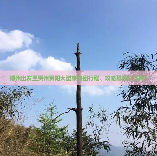 郴州出发至贵州贵阳大型旅游团行程、攻略及预订详情？