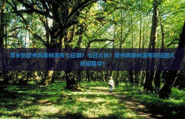 萍乡到贵州黄果树瀑布七日游？七日太长？贵州黄果树瀑布纯玩团火热招募中！