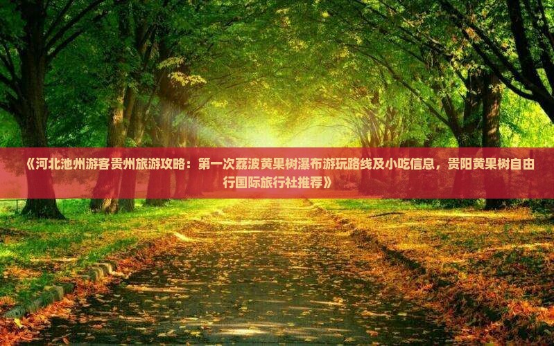 《河北池州游客贵州旅游攻略：第一次荔波黄果树瀑布游玩路线及小吃信息，贵阳黄果树自由行国际旅行社推荐》
