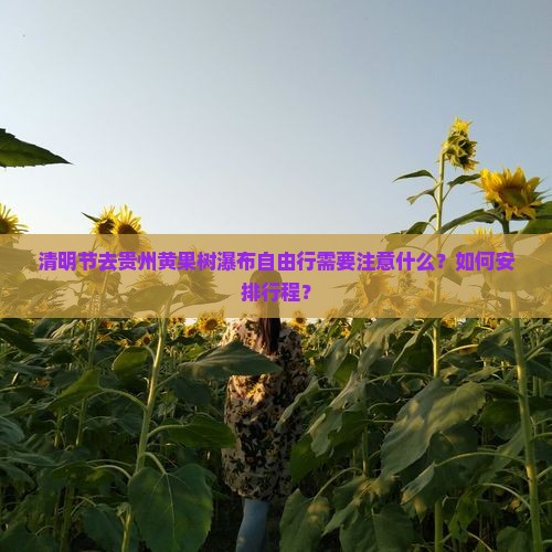 清明节去贵州黄果树瀑布自由行需要注意什么？如何安排行程？