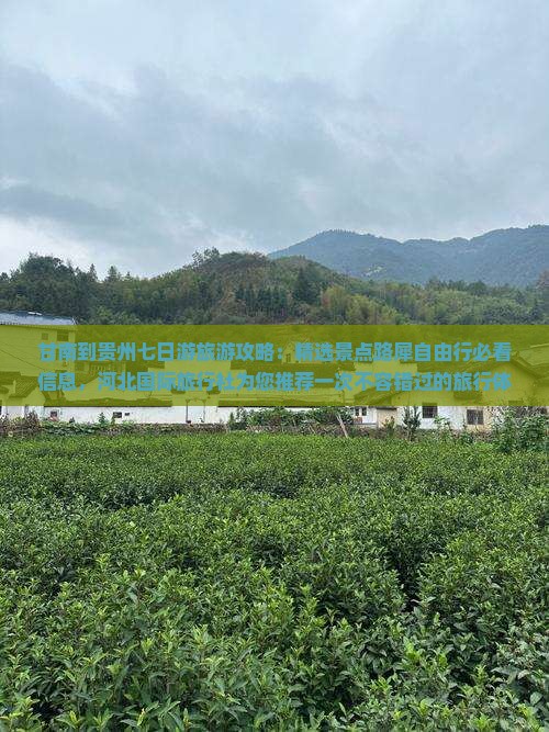 甘南到贵州七日游旅游攻略：精选景点路犀自由行必看信息，河北国际旅行社为您推荐一次不容错过的旅行体验