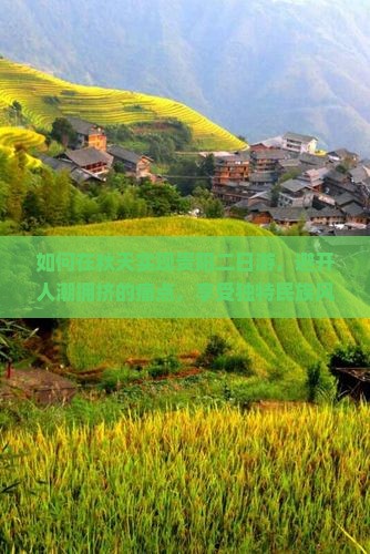 如何在秋天实现贵阳二日游，避开人潮拥挤的痛点，享受独特民族风情？