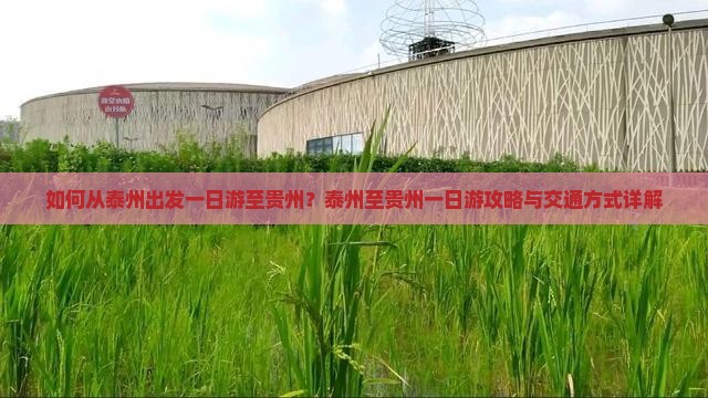 如何从泰州出发一日游至贵州？泰州至贵州一日游攻略与交通方式详解