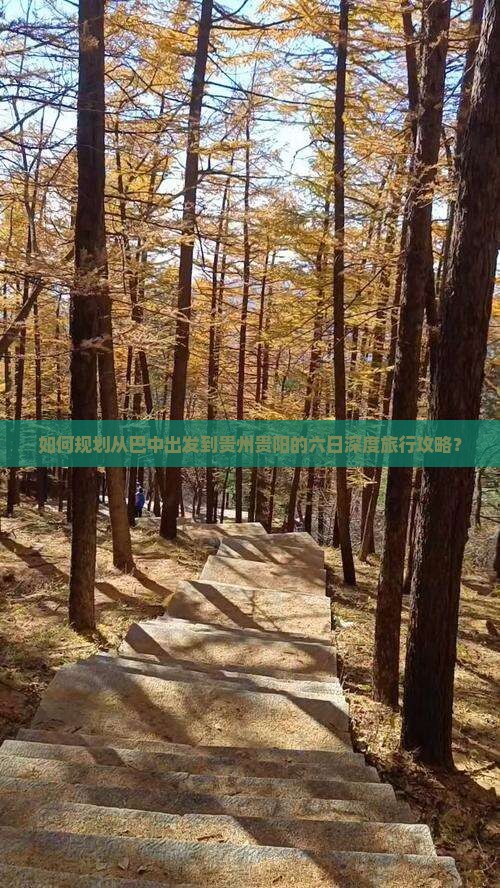 如何规划从巴中出发到贵州贵阳的六日深度旅行攻略？