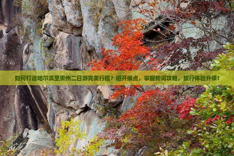 如何打造哈尔滨至贵州二日游完美行程？避开痛点，掌握新词攻略，旅行体验升级！