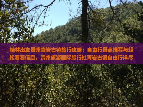 桂林出发贵州青岩古镇旅行攻略：自由行景点推荐与轻松看看信息，贵州旅游国际旅行社青岩古镇自由行详尽指南