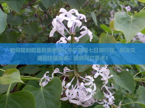 如何规划和县到贵州西江千户苗寨七日游行程，解决交通和住宿痛点，玩转网红景点？