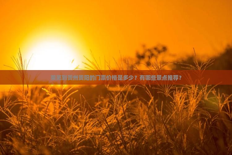 莱芜到贵州贵阳的门票价格是多少？有哪些景点推荐？