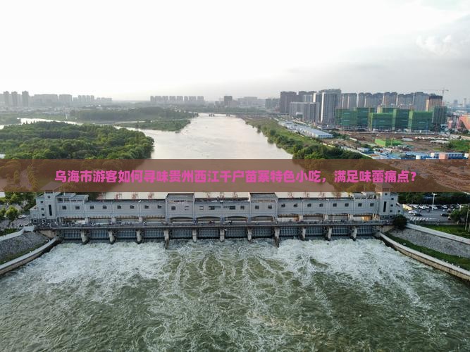 乌海市游客如何寻味贵州西江千户苗寨特色小吃，满足味蕾痛点？