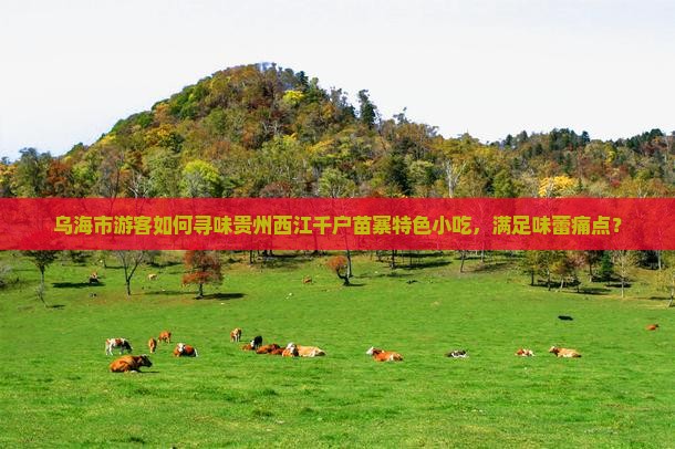 乌海市游客如何寻味贵州西江千户苗寨特色小吃，满足味蕾痛点？