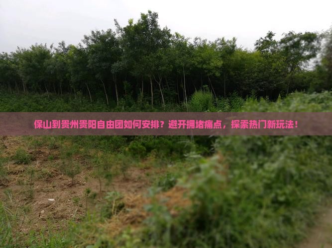 保山到贵州贵阳自由团如何安排？避开拥堵痛点，探索热门新玩法！
