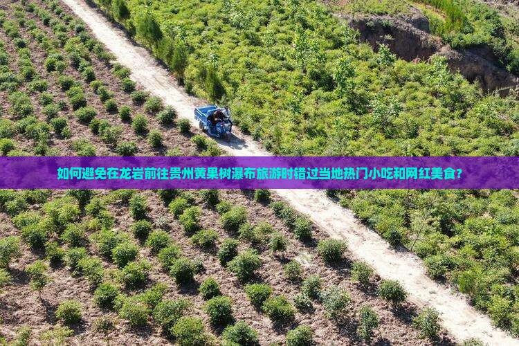 如何避免在龙岩前往贵州黄果树瀑布旅游时错过当地热门小吃和网红美食？