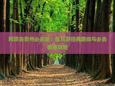 阿坝去贵州必去地：自驾游经典路线与必去景点攻略