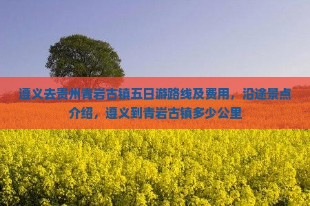 遵义去贵州青岩古镇五日游路线及费用，沿途景点介绍，遵义到青岩古镇多少公里