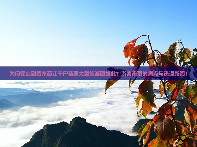 为何保山到贵州西江千户苗寨大型旅游团如此？游客热衷的痛点与热词新词！