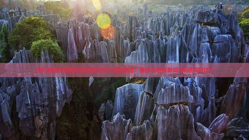 为何海拉尔游客纷纷选择贵州大型旅游团？痛点与热词新词背后的吸引力！
