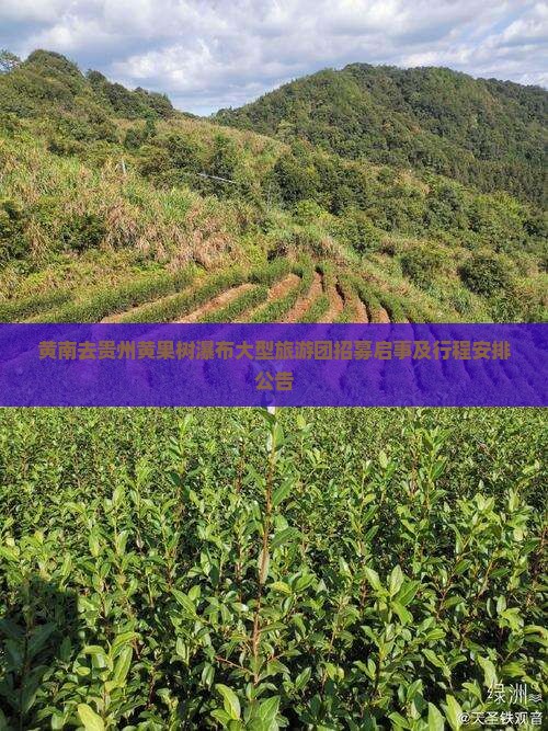 黄南去贵州黄果树瀑布大型旅游团招募启事及行程安排公告