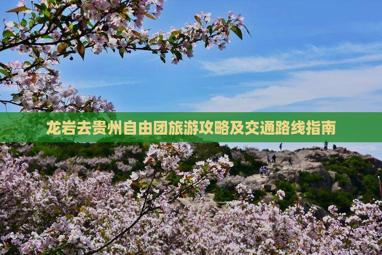 龙岩去贵州自由团旅游攻略及交通路线指南