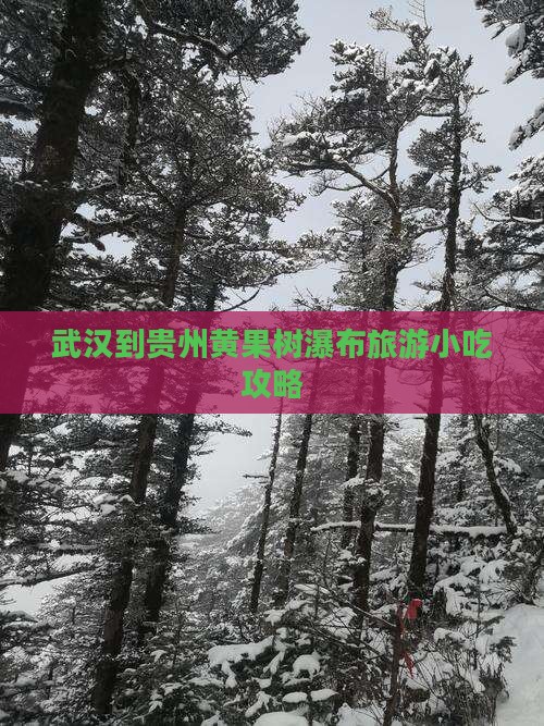 武汉到贵州黄果树瀑布旅游小吃攻略