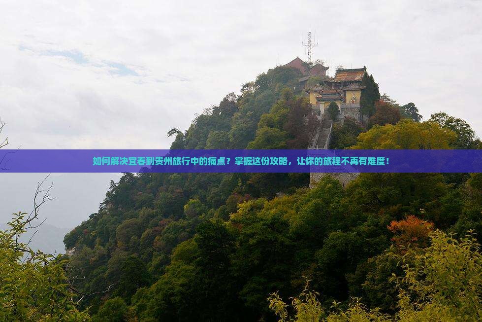 如何解决宜春到贵州旅行中的痛点？掌握这份攻略，让你的旅程不再有难度！