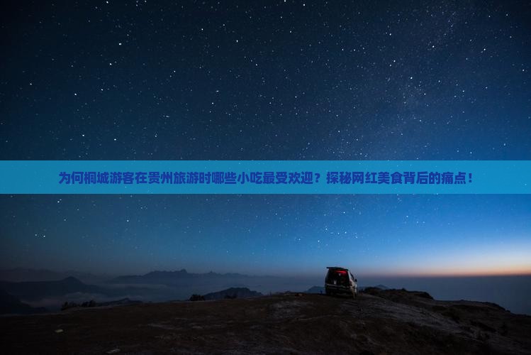 为何桐城游客在贵州旅游时哪些小吃最受欢迎？探秘网红美食背后的痛点！