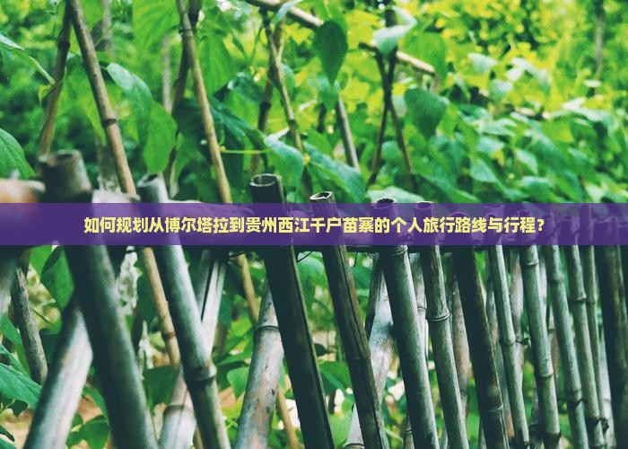 如何规划从博尔塔拉到贵州西江千户苗寨的个人旅行路线与行程？