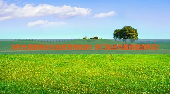 为何合肥游客纷纷选择贵州旅游？热门痛点与最新旅游热词！