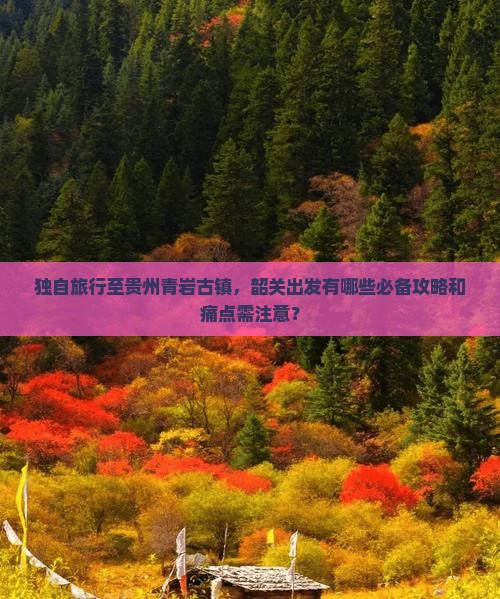 独自旅行至贵州青岩古镇，韶关出发有哪些必备攻略和痛点需注意？